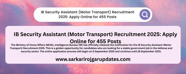 IB Security Assistant